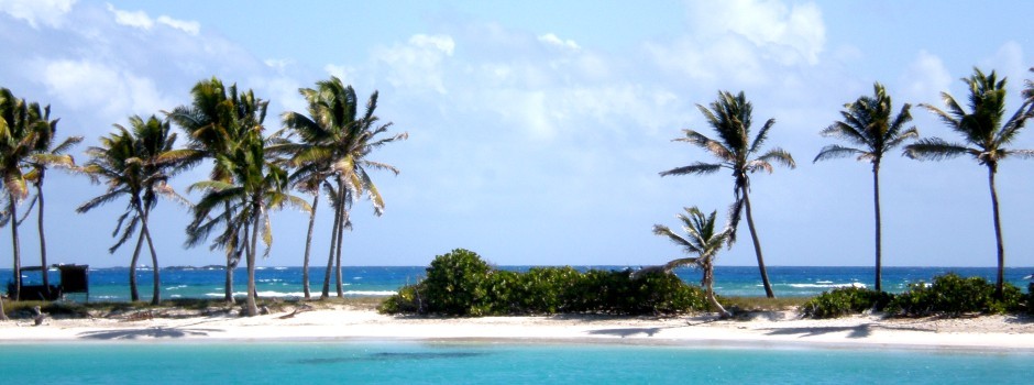 croisiere caraibes catamaran