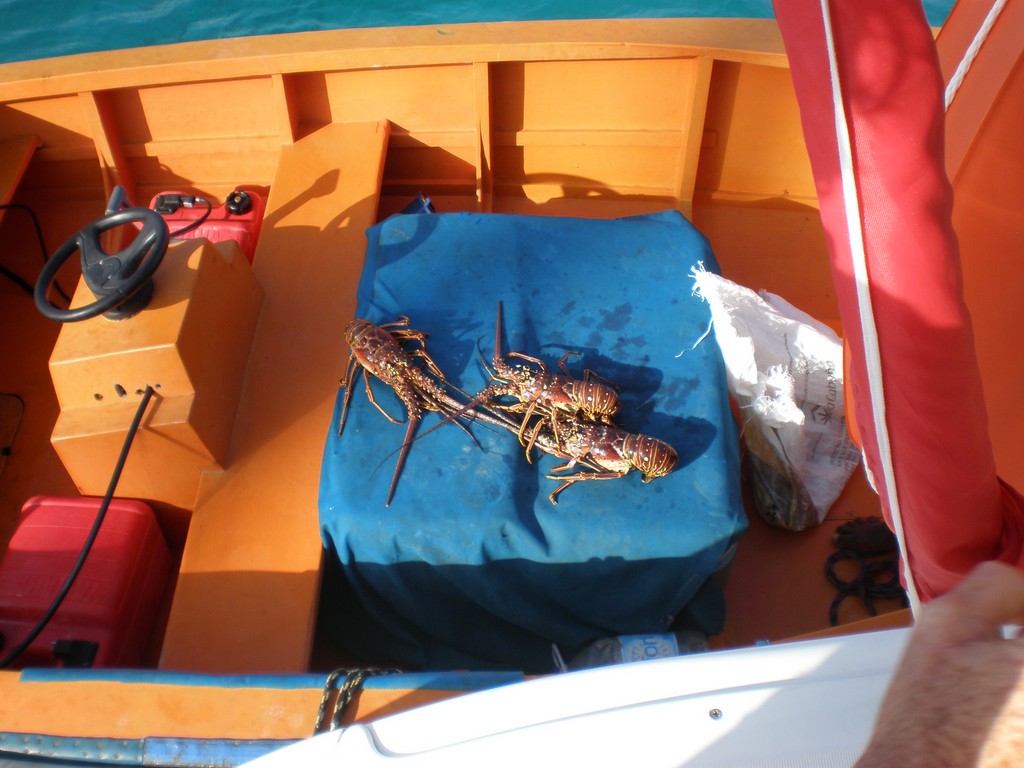 Bonne pêche au Tobago