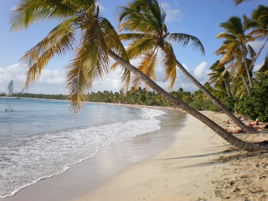 les Salines en Martinique