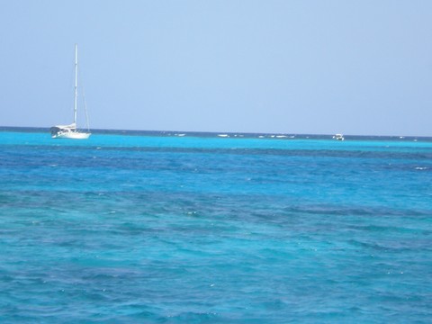 Le turquoise des Antilles