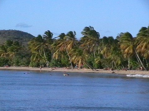 La plage des Salines Martinique