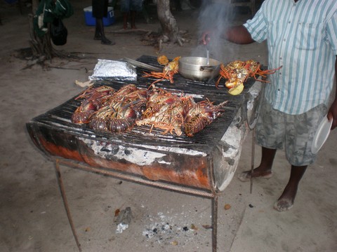 La langouste des Grenadines