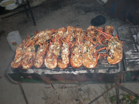 Tobago et ses Langoustes