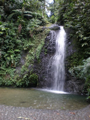 Le saut du gendarme Martinique